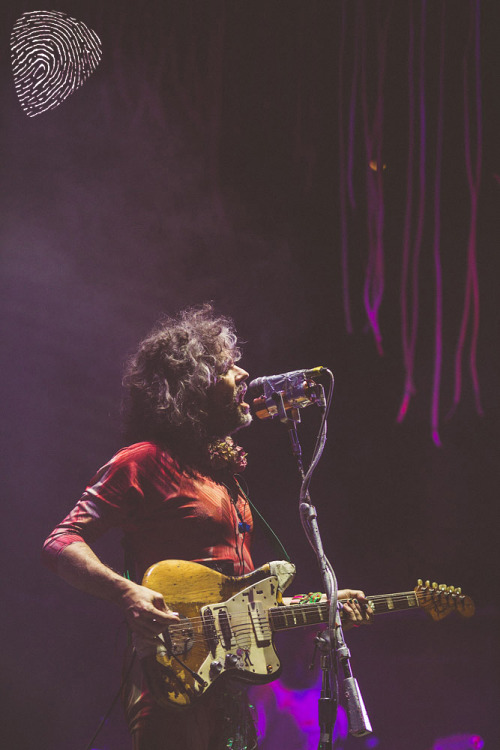 propertyofzack: POZ Gallery: Riot Fest Denver (1/3)Features: ALL, City And Colour, Dads, D