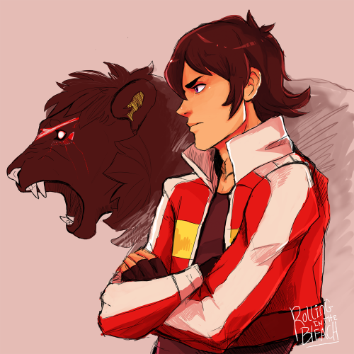 rolling-in-the-bleach:  Red Paladin