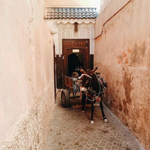 northmorocco: Marrakech, Morocco Marrakesh Travel Guide – FREE –PDF Download Guide : htt