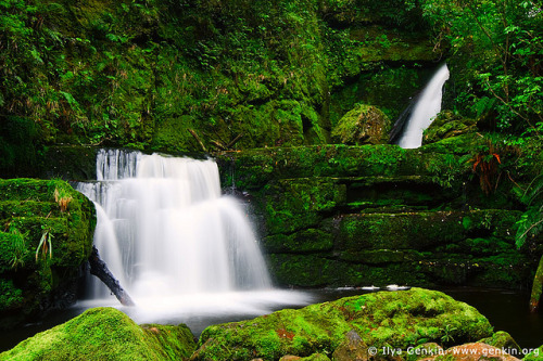 Lower McLean Falls, The Catlins, South Island, New Zealand by ILYA GENKIN / GENKIN.ORG on Flickr.