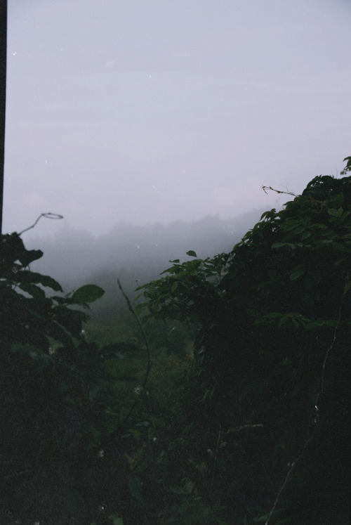 sitoutside:  Untitled  by  christie.rainey   