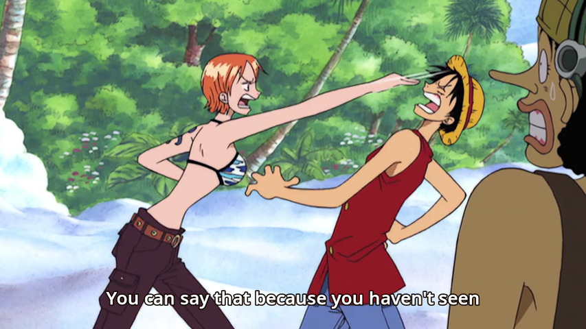 One Piece - Nami, the super cool navigator of the next pirate king!