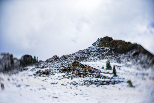 September snow in the Big Horn Mountains, Wyoming www.instagram.com/carolynbaumann/http