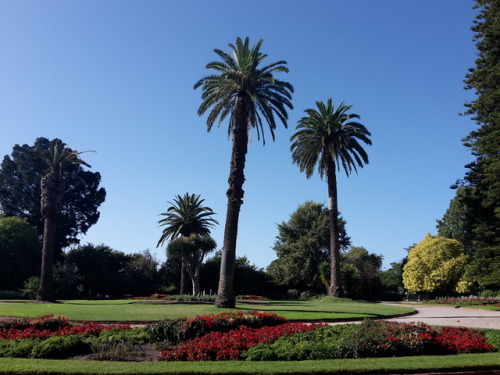 XXX St Kilda Botanical Gardens  No cyclone here photo