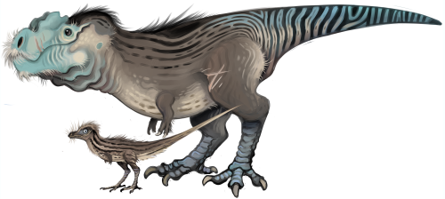 sparrowlucero:  2 months + 20 years old tyrannosaur