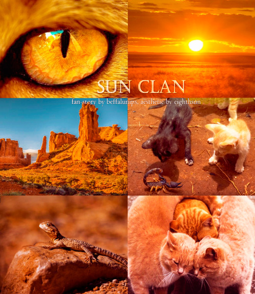 Sun Clan aestheticfor @murder-cats