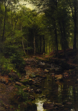 Optically-Aroused:  Peder Mork Monsted  