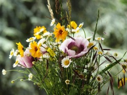 photobookbyrunner: bouquet