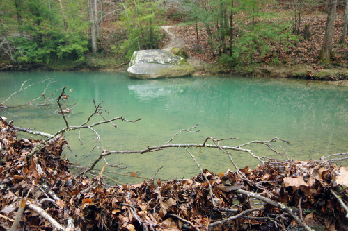 frolicingintheforest: Winter always paints the streams with lovely hues of blue and teal. This place