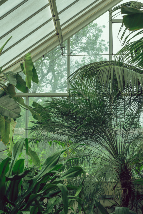 kenmarten:Neon Jungle - National Botanical Garden of Wales