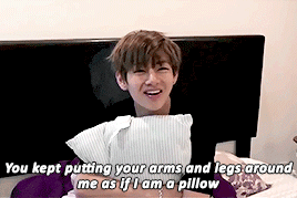 a baby koala even when he is sleeping