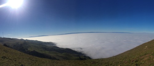 First hike of the year 2015. Mission Peak - beautiful day above the clouds.
