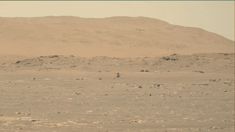 A color GIF of NASA's Ingenuity Mars Helicopter as it hovers slowly above the dusty, rocky Martian landscape. Credit: NASA/JPL-Caltech/ASU/MSSS