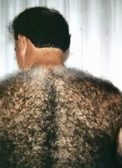 hairyobsessionss:BBB BIG BEEFY BEAR https://hairyobsessionss.tumblr.com/Hairy Furry Men