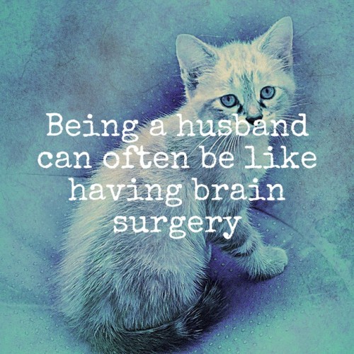 Well If We're Doing Inspirobot Dumps Then