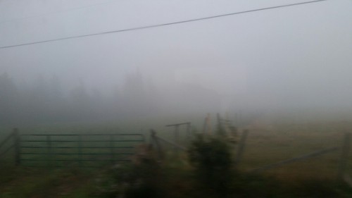 suhrfranbacon:  eternally-salty-cactus:  It was really foggy by my house the other day. Thats some @