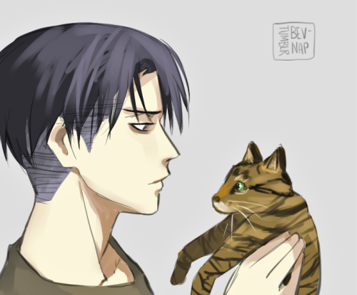 bev-nap:  Yeah I ship Levi x Cats… I bet you’re so jealous of this fur ball, I know I am.