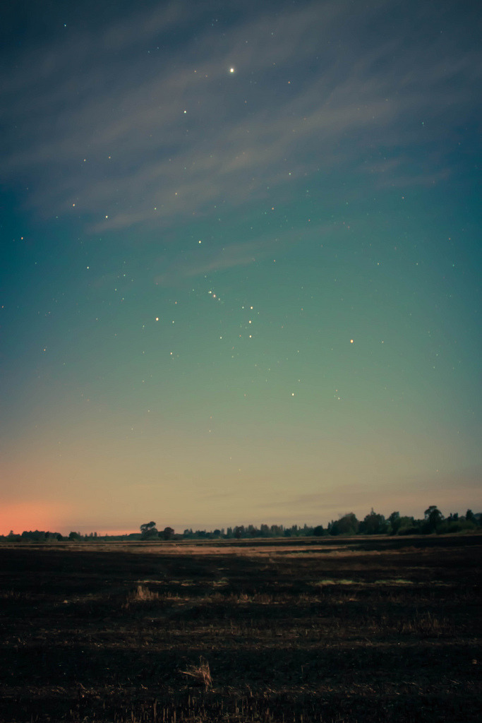 Serenity