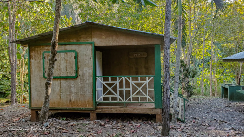 Bosque Susua, Sabana Grande, Puerto Rico