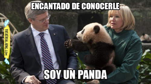 Encantado de conocerle, soy un panda.