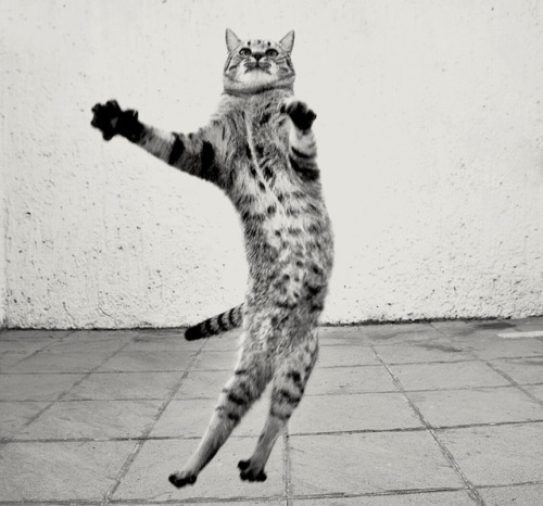 (via yareni luna)