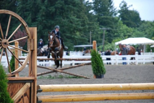 anotheroregongirl:  Auto focus failed a bit here but I like it anyway. Anna and her horse Island Gir