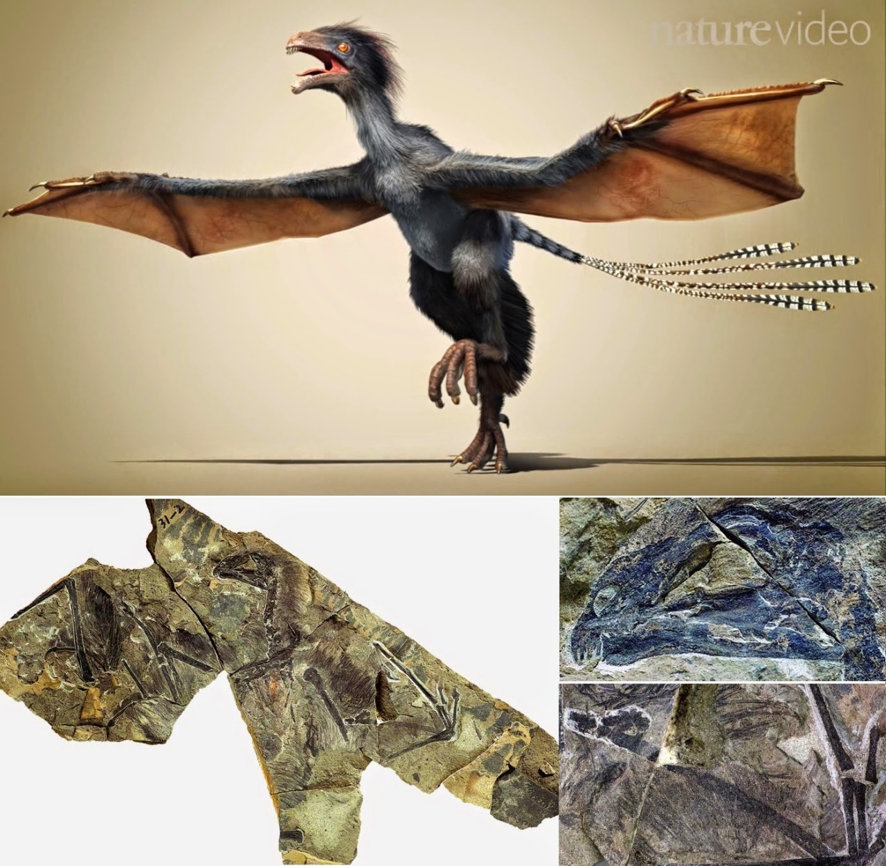 DINOSAUR CONFIRMED FOR ACTUAL DRAGON PASS IT ON