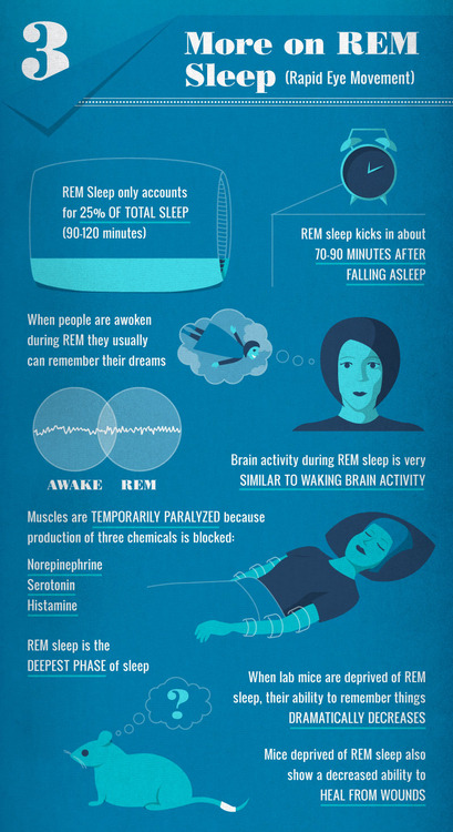 sagansense:   Dream On: Why Sleep is So Important  This infographic showcases some