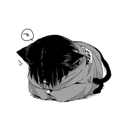 wahhh this is sooo cute levixeren