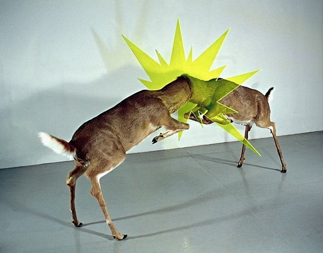 stephanieandstuff:  exhibition-ism:  The electric works of Los Angeles based artist