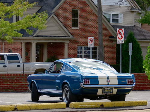 JUST THE COOLEST MUSTANGS