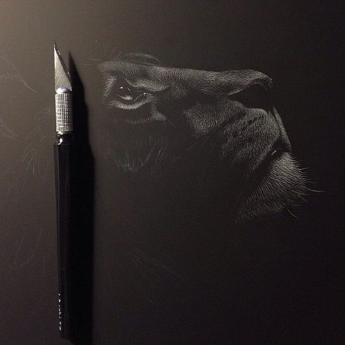 perfectlyy: I love scratch boards omg