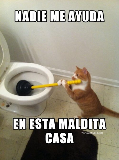 -Nadie me ayuda en esta maldita casa!  |>_<| 