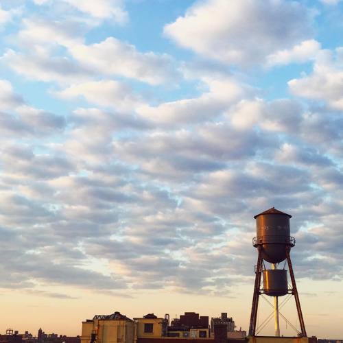 My view this good Monday morning. #mondaymood #goodmorning #sunrise #brooklyn #bk #bedstuy #nyc (at 