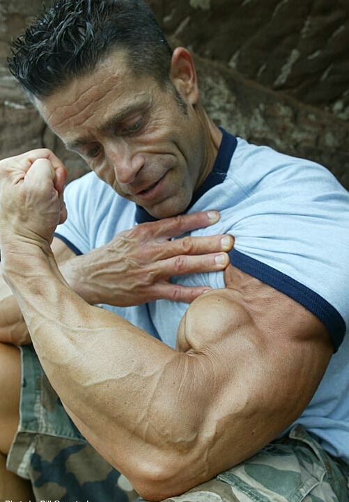 Muscle