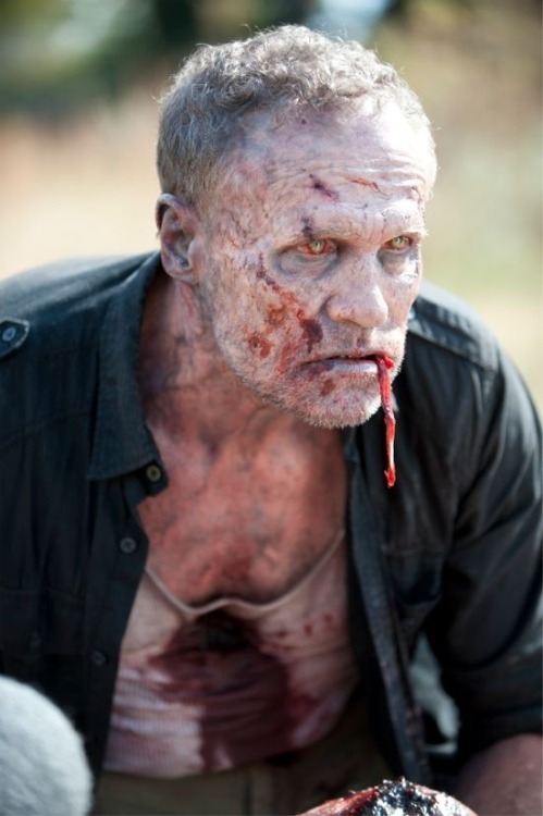 fuzzmonky:  Merle