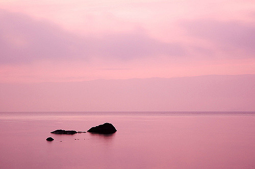 estheticsly:Pink Morning byCraig Thomson