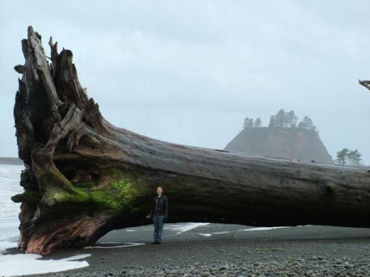 insomniac-arrest:  Living by the ocean is just like … she has brought me a gift today from beyond our shores, she is a kind and giving mother, and sometimes that gift is a giant wooden cross for some reason Or a fucking Garfield phone an entire wasteland