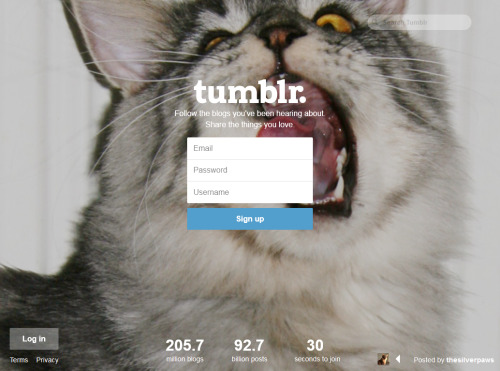 thesilverpaws:pareidolon:I never took the time to pay tribute to the best Tumblr login screen this y