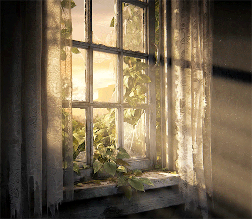 THE LAST OF USTitle Screen - The Last Of Us (2013) | S01E03 - Long Long Time