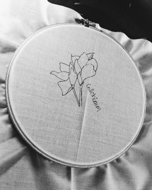 it’s cold and grey out so here’s a lil b&w action for a new piece #embroidery #embroideryfloss #
