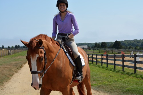exquisite-stranger: my horse looking like a traffic cone and me looking like a thoroughly windblown