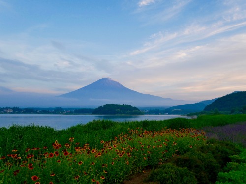 View of Mt. Fuji and Lake Kawaguchi