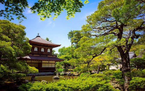 yuikki:Ginkaku-ji Temple 銀閣寺 by どこでもいっしょ on Flickr.