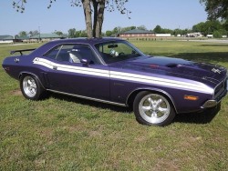 jacdurac:   1971 Dodge Challenger R/T  