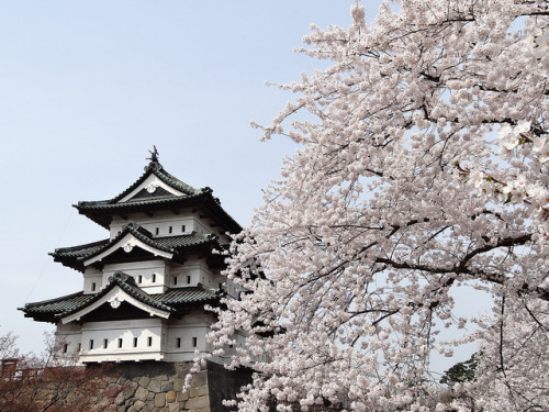 Hirosaki-jyo Castle by peaceful-jp-scenery on Flickr.