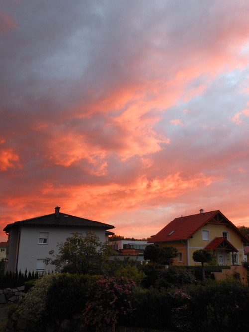 spaziergaenge-blog:  Enns // 5.2014