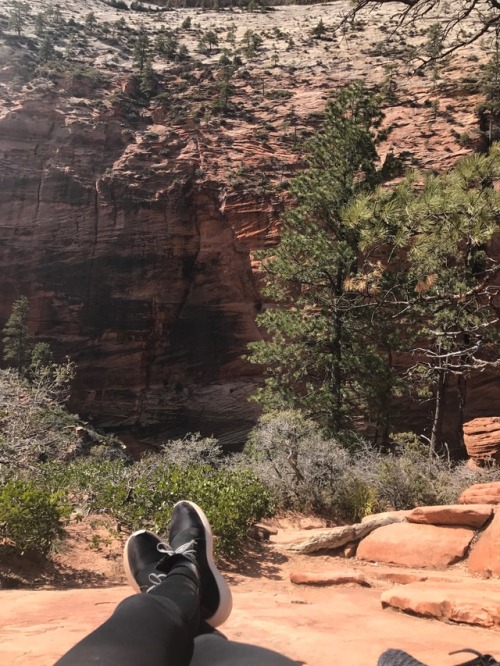 househunting:hiked angels landing today!