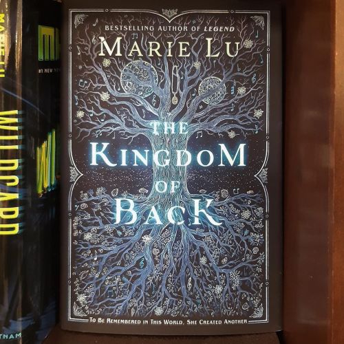 Check out these YA novels for some love and magic #TheKingdomofBack by #MarieLu • #AnnaKALoveStory 