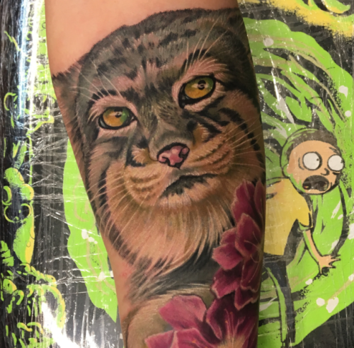 Freehand cat portrait cover up by artist Neil England @england508 at Empire Tattoo Boston!@empire_